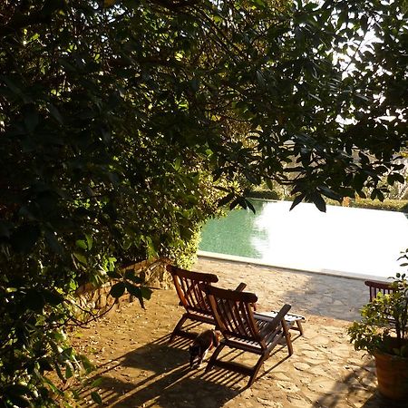 كاستيلْنْوافو بيراردين Residence Castello Di Orgiale المظهر الخارجي الصورة