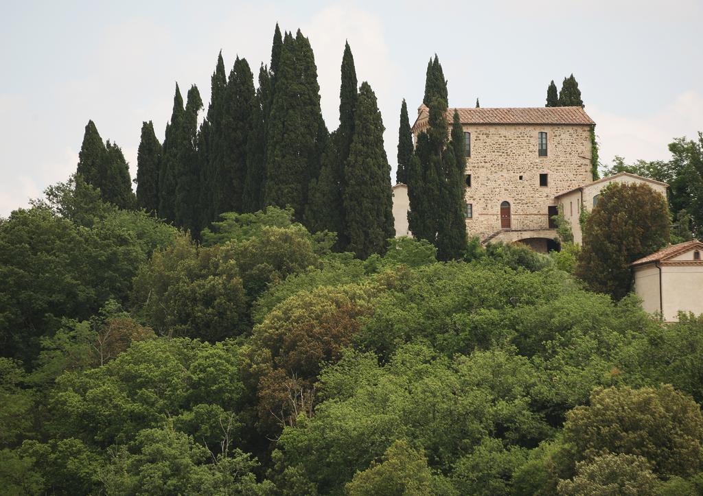 كاستيلْنْوافو بيراردين Residence Castello Di Orgiale المظهر الخارجي الصورة